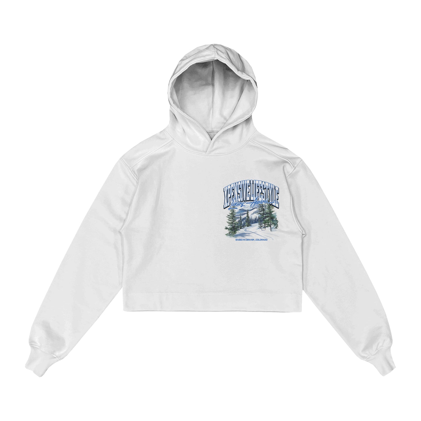 Glacier Currency Hoody