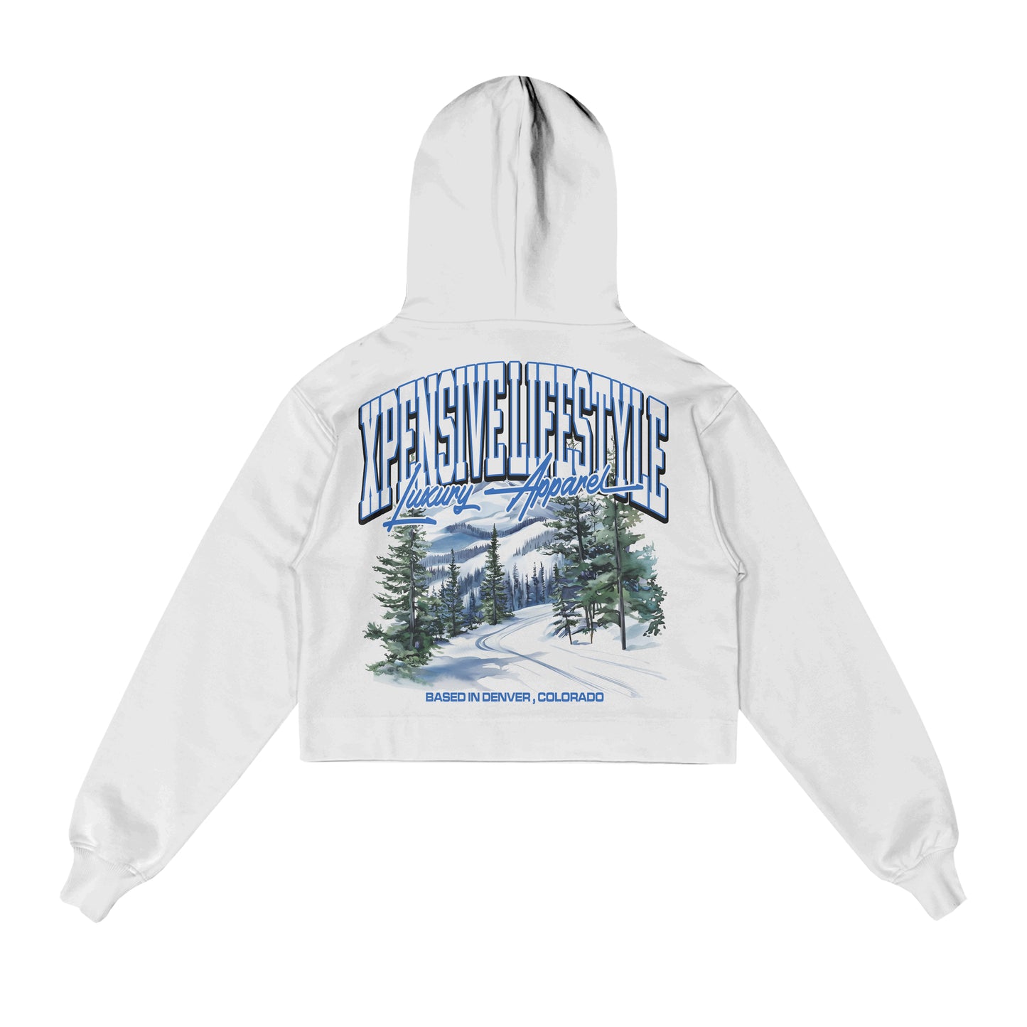 Glacier Currency Hoody